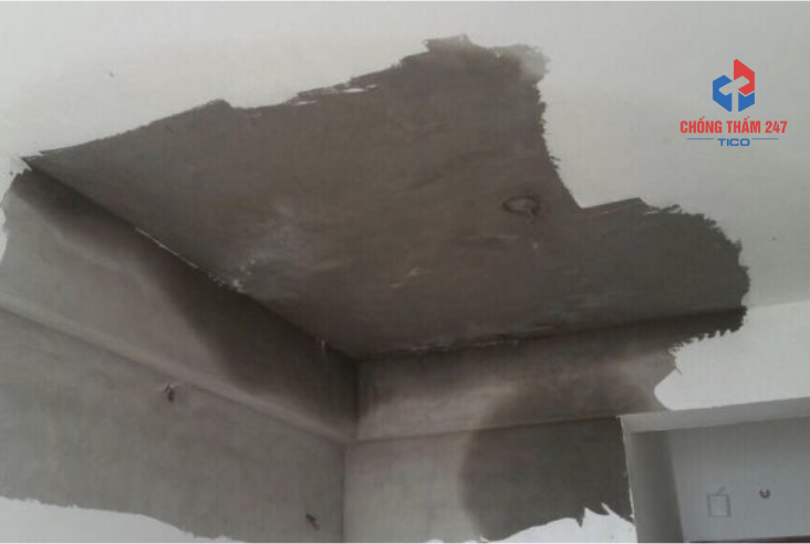 Báo Giá Chống Thấm Ngược Mới Nhất 2025 1 Báo giá chống thấm ngược - sàn bị thấm ngược